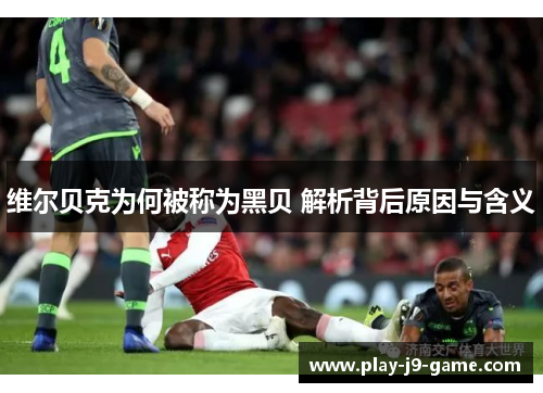 维尔贝克为何被称为黑贝 解析背后原因与含义