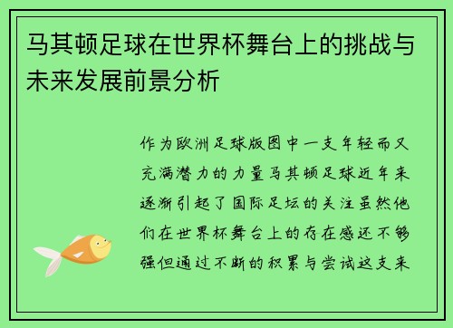 马其顿足球在世界杯舞台上的挑战与未来发展前景分析 马其顿足球在世界杯舞台上的挑战与未来发展前景分析